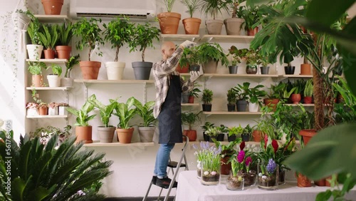 In the flowers shop the florist guy get up on the ladder and get some plants from the shop shelves and take care of them concept of small business florist entrepreneur