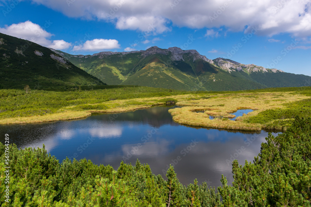 Stręgacznik, org Trojrohé pleso