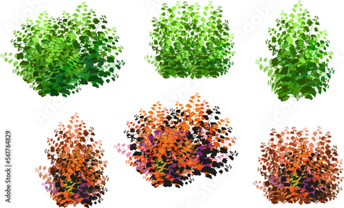 Ornamental green plant in the form of a hedge.Realistic garden shrub, seasonal bush, boxwood, tree crown bush foliage.For decorate of a park, a garden or a green fence.