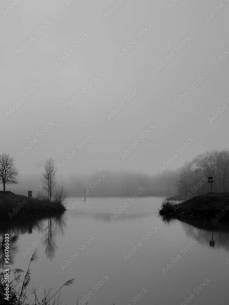 Fototapeta premium Winter river landscape with fog and silhouette of trees in the background. black and white photo