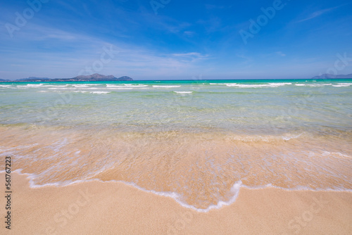 beach and sea