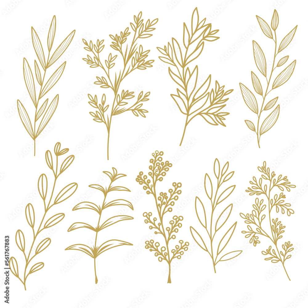Naklejka premium Branches sketch set. Hand drawn graphics of plants. Vector illustration of differents branches isolated on white background. 