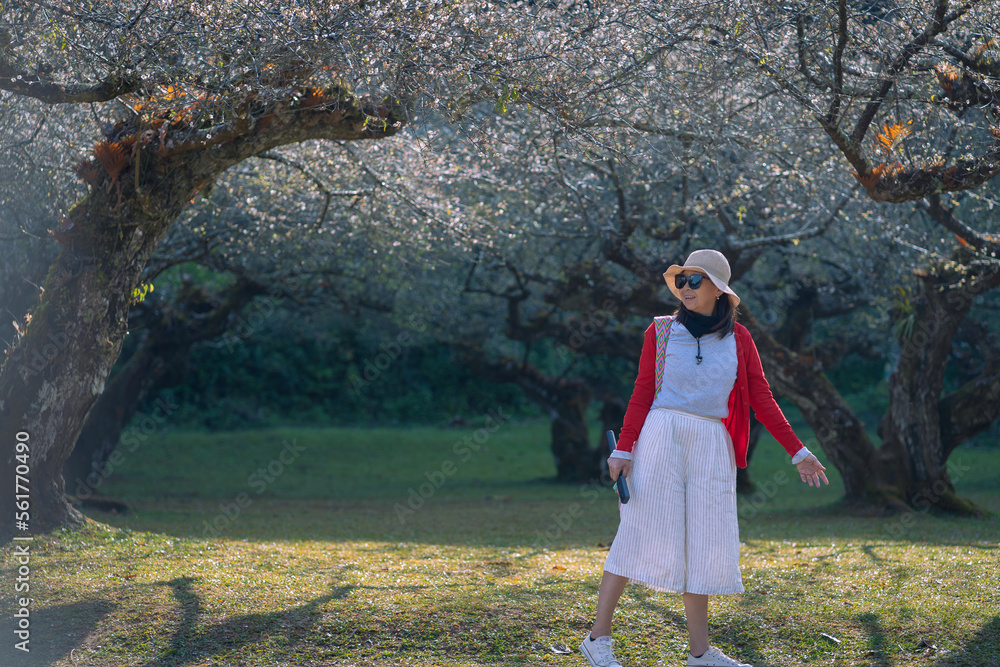 Naklejka premium A woman wearing a red top and straw hat is happy with nature's beautiful Chinese plum Trees, Japanese apricot, Prunus mume, Rosaceae, Japanese Bayberry, and Myrica Rubra in Thailand.