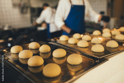 Raw dough buns on a tray at the kitchen.