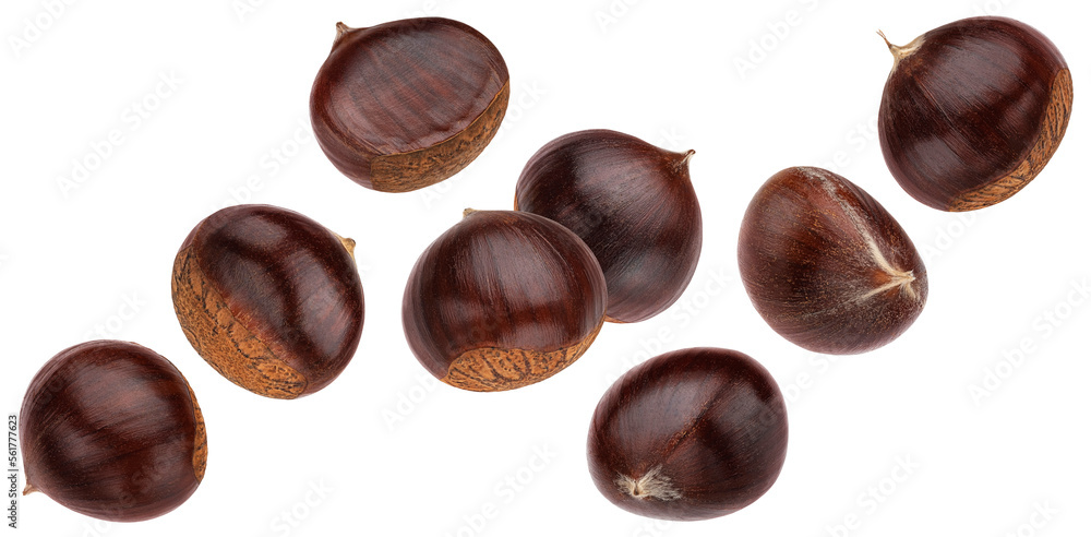 Falling chestnuts isolated on white background Falling chestnuts isolated on white background