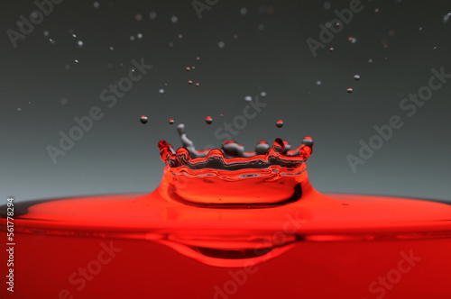 A drop of red water forming a coronet as it splashes into a glass full of liquid, backlit for contrast. photo