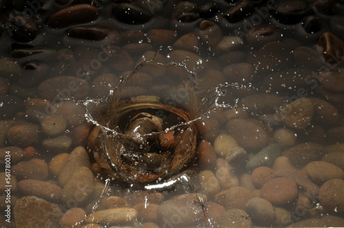 A pebble dropping into a shallow stony pool. photo