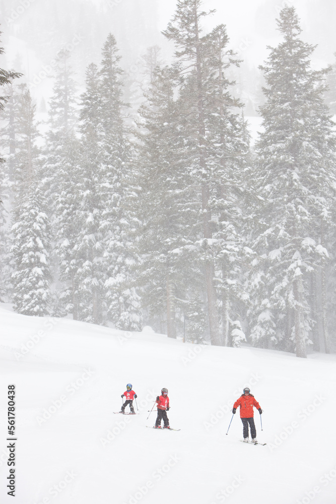 Children learn to ski from instructors at a Ski Resort in California. Children learn to ski from instructors at a Ski Resort in California.