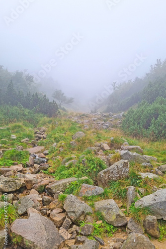 Foggy mystical morning in the mountains. Climbing the mountains.