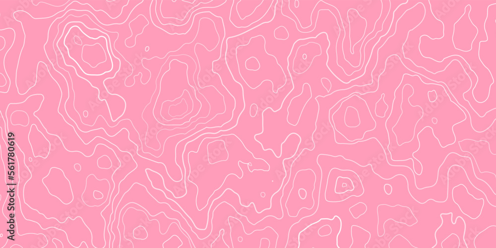 Abstract wave lines on pink background. White wave lines of topographic design. Vector contour illustration. Abstract wave lines on pink background. White wave lines of topographic design. Vector contour illustration.
