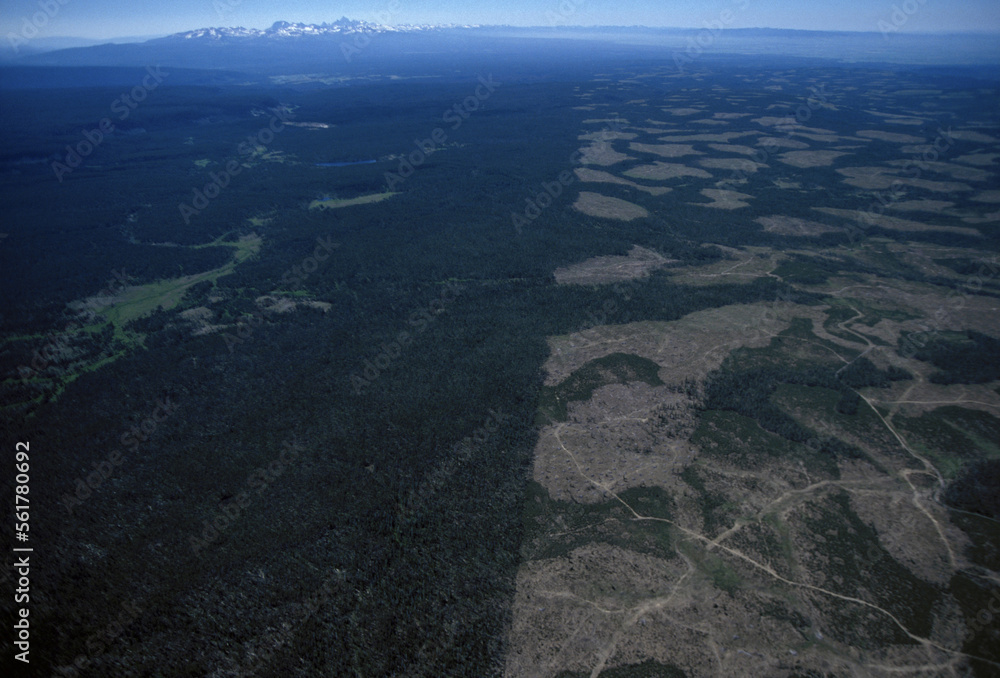 Aerial view of clearcuts, Idaho, USA. Aerial view of clearcuts, Idaho, USA.