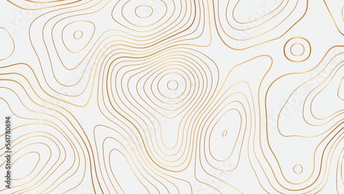 Abstract wave lines on white background. Luxury golden wave lines of topographic design. Vector contour illustration.
