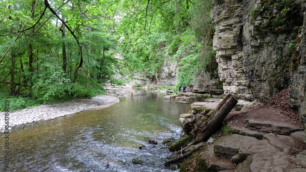 Obraz premium Fluss im Schwarzwald