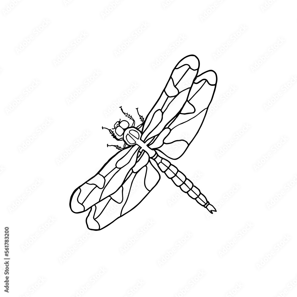 Abstract dragonfly insect, hand drawn. Silhouette isolated on white background Abstract dragonfly insect, hand drawn. Silhouette isolated on white background