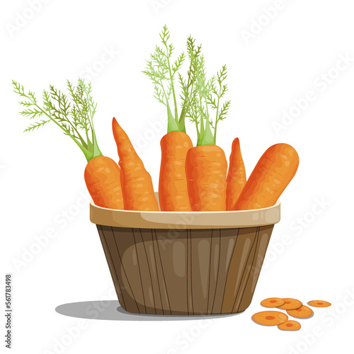 Carrot bright juicy vegetable, healthy vegetarian food, basket with carrots. Vector isolated picture with shadow on white background.