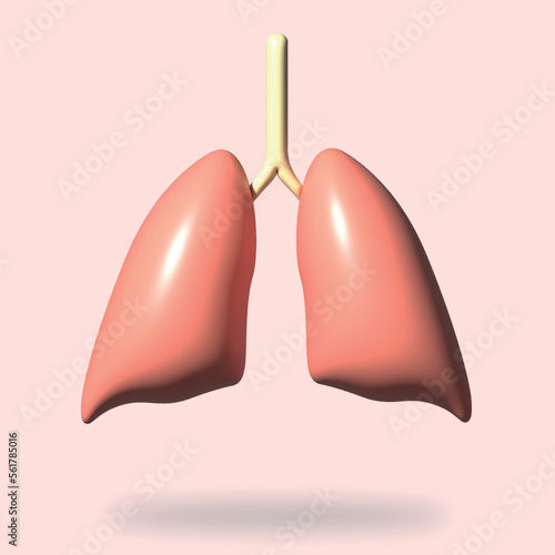 3d rendering human lungs anatomy model