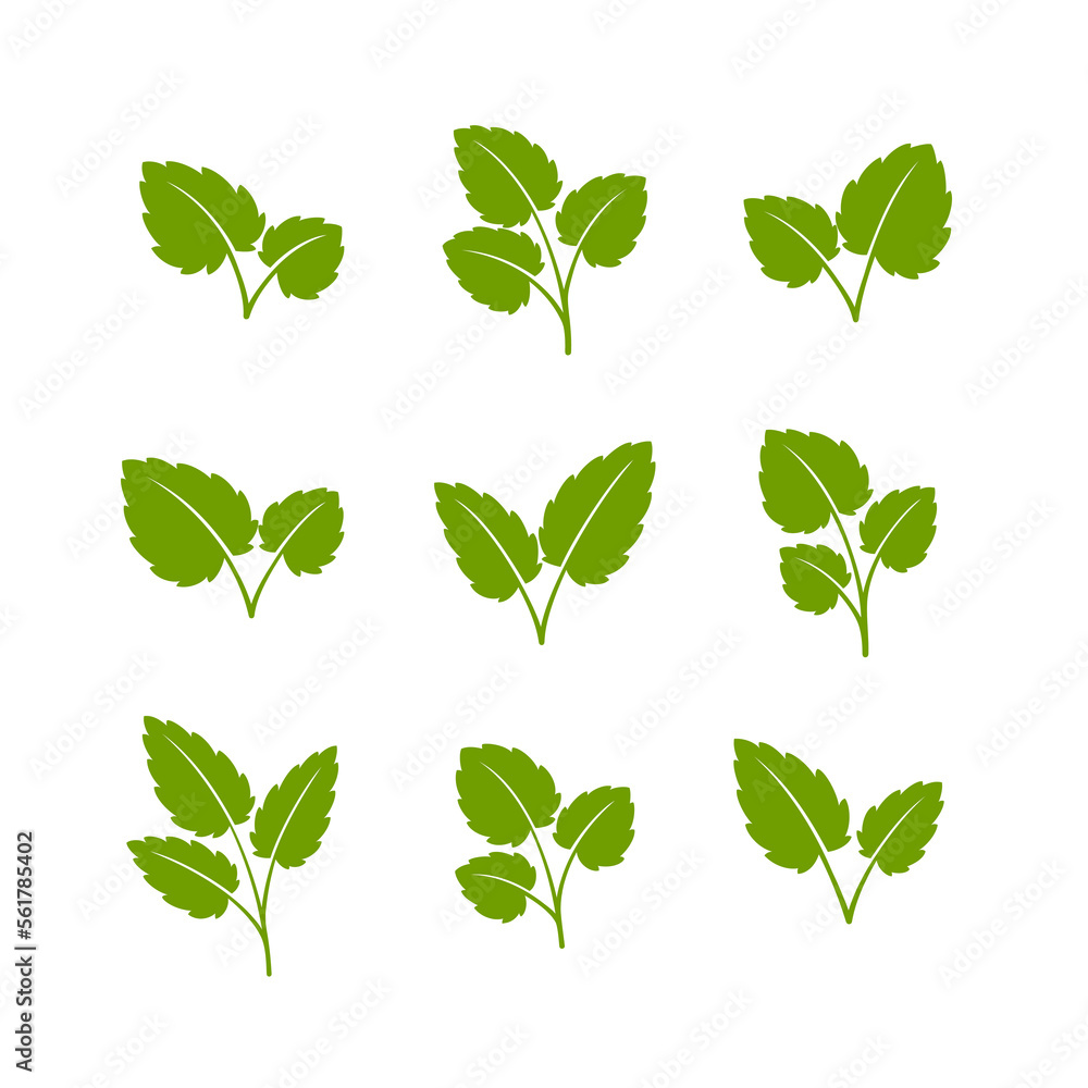 Naklejka premium Set of green leaves. Flat style. Vector illustration. 