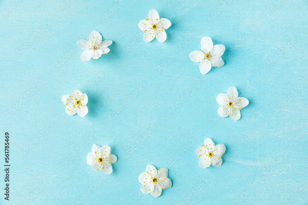 Frame or circle made of white cherry blossoming flowers on pastel blue background. Spring or holiday background Frame or circle made of white cherry blossoming flowers on pastel blue background. Spring or holiday background