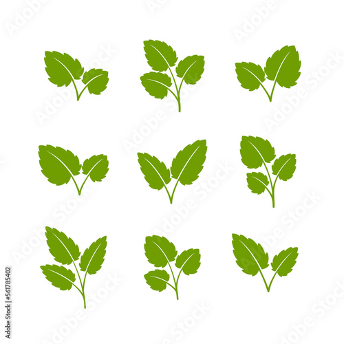 Set of green leaves. Flat style. Vector illustration. 