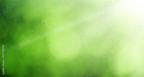 Bright glowing green nature background in the form of bokeh