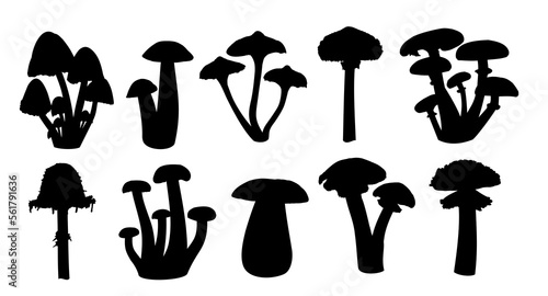 The set silhouettes of forest mushrooms.