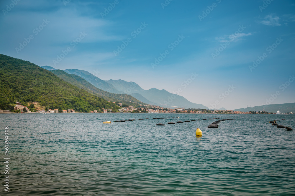 Mussel and oyster farms in the Bay of Kotor