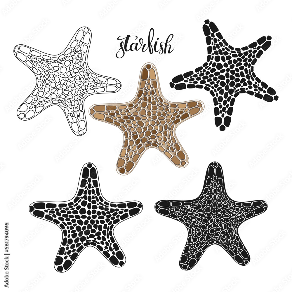 Starfish. Hand drawn vector illustration, 5 isolated  elements on white background. Perfect for menu decoration, invitation, card, poster and as a design element.