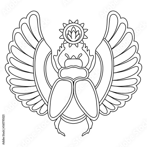Beautiful scarab beetle coloring template vector illustration