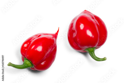 Habanero peppers (Capsicum chinense), top view isolated png photo