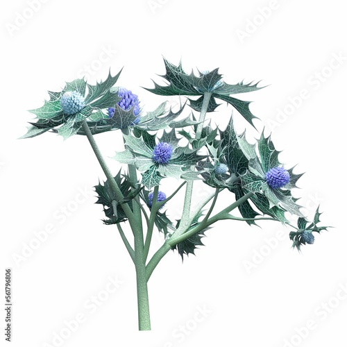 Wallpaper Mural wild field grass, isolated on white background, 3D illustration, cg render Torontodigital.ca