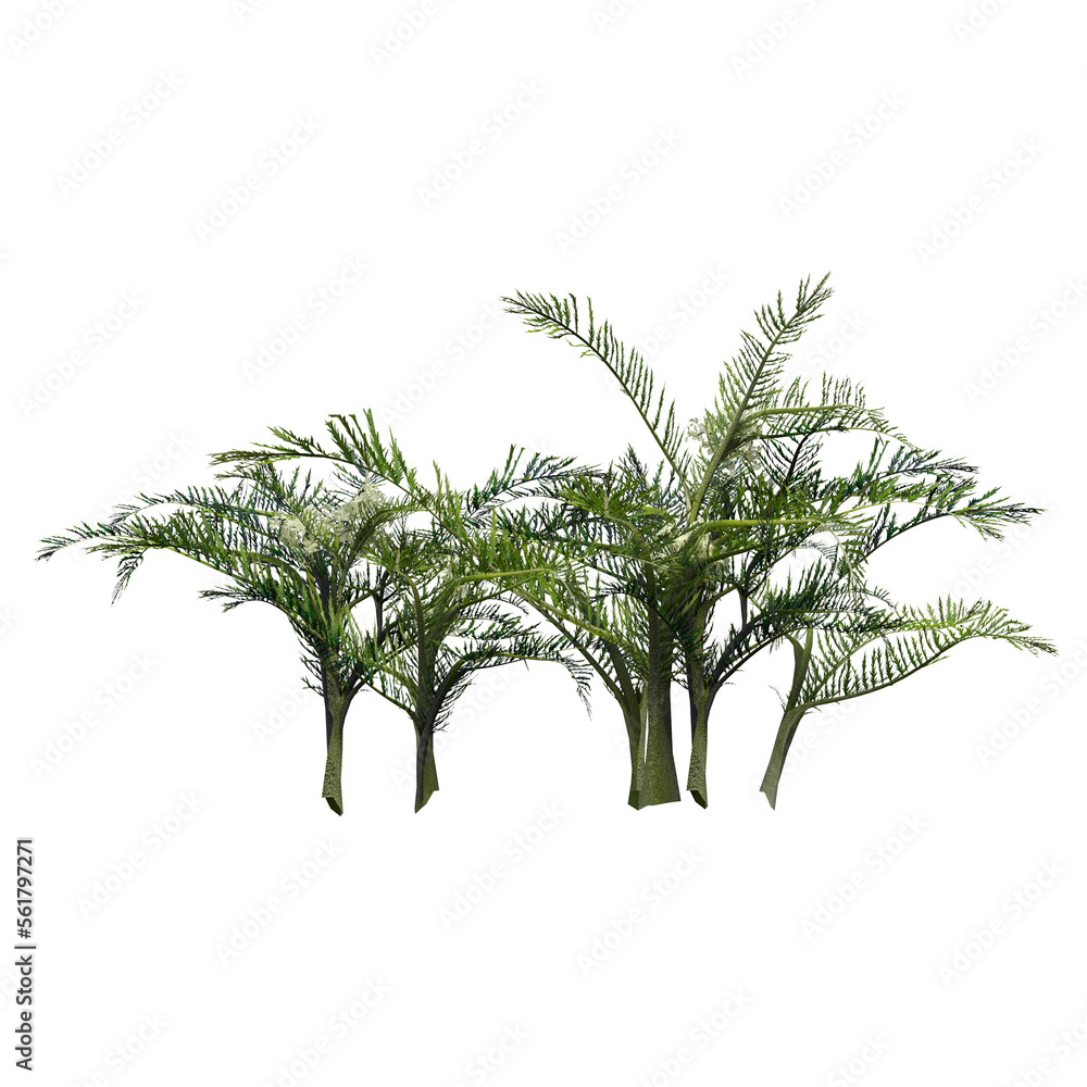 wild field grass, isolated on a transparent background, 3D illustration, cg render

