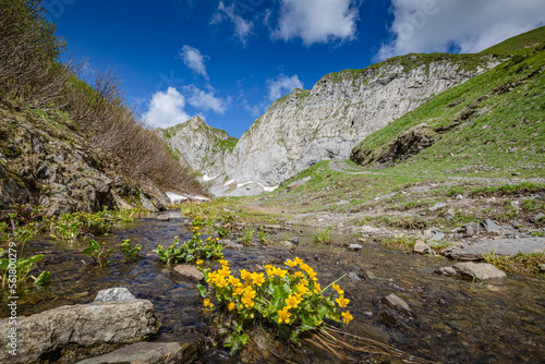 Beautiful nature. Mountain hiking Trail Road. Italy Lago Avostanis Casera Pramosio Alta photo