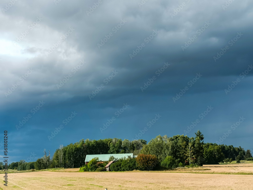 Obraz premium house , image taken in Lofoten islands, norway , scandinavia, , europe