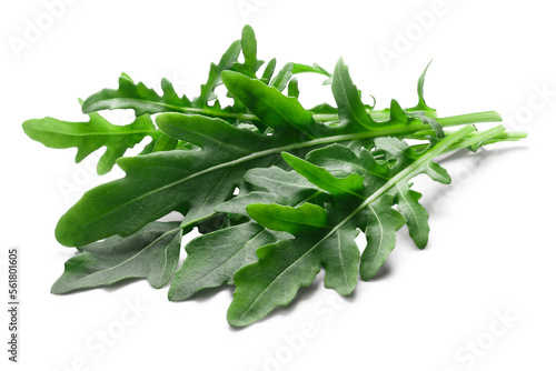 Fresh arugula (Eruca vesicaria) leafy salad isolated png