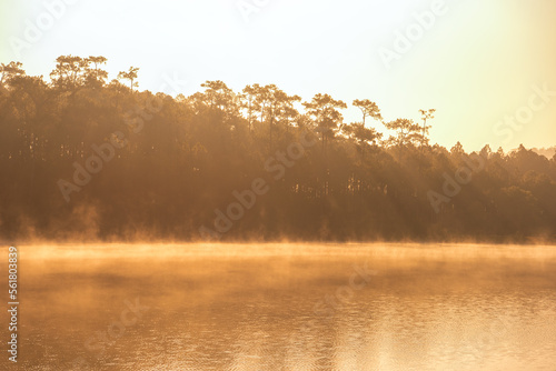 Beautiful nature scenic landscape view at peaceful lake in the morning