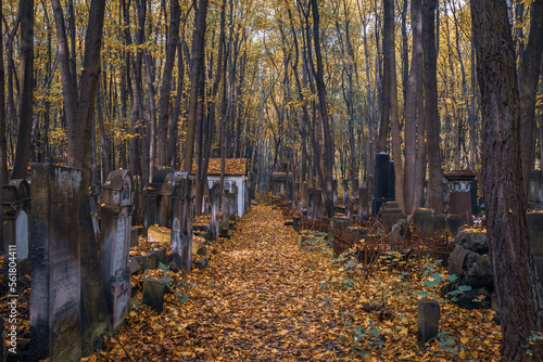 Old tombs in Jewish cementary in Warsaw, Poland in autumn foliage.