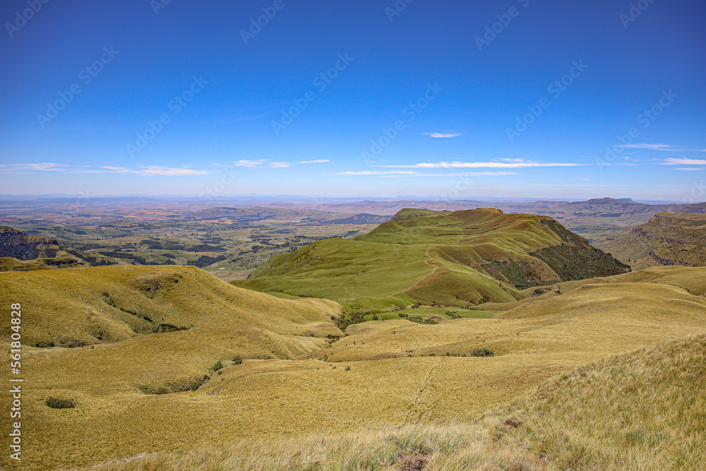 Fototapeta premium Drakensberge