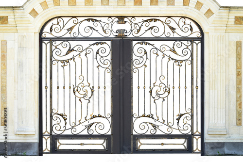 Forged arched gate with decor.