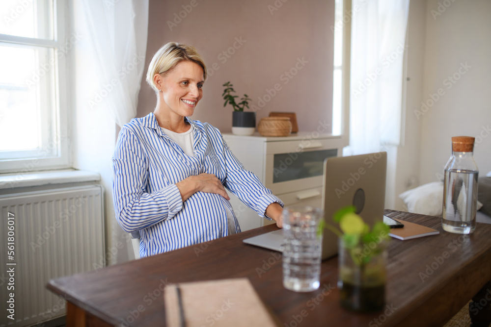 Pregnant woman having home office in her apartment. Pregnant woman having home office in her apartment.