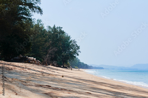 Landscape with tropical sand beach.