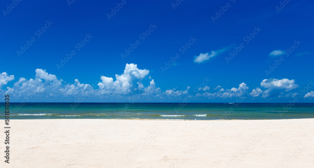 Fototapeta premium tropical beach in Sri Lanka . Summer holiday and vacation concept for tourism.