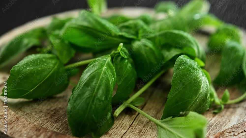 Fresh green basil leaves on a wooden board, close up view Fresh green basil leaves on a wooden board, close up view