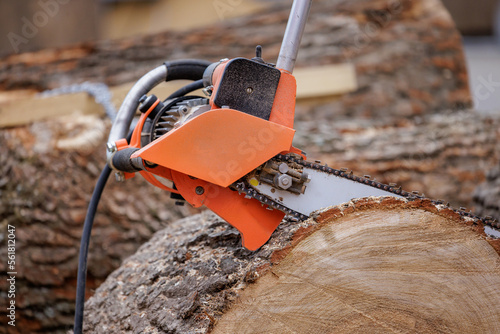 Fotografia Woodcutter saws tree with electric chain saw on sawmill