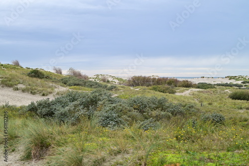 Dune landscape on a North Sea island