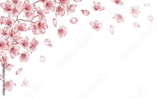 Watercolor floral  ‚Äì Border Sakura, Cherry blossom, spring flowers, branch, twig, wedding design.