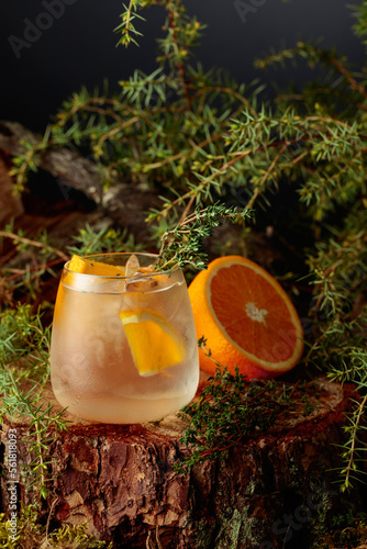 Gin and Tonic cocktail with orange and thyme.