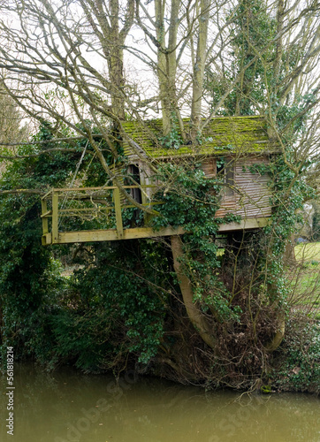 A moss covered tree house on the bank of the Oxford Canal near Lower Heyford, Oxfordshire photo