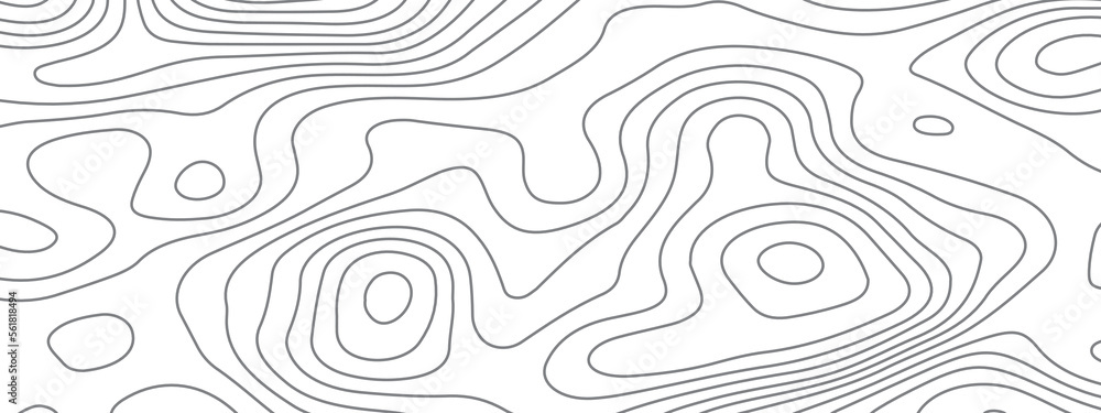 Abstract white topography background. Topographic contours map background. Line circle design.  Topography concept of conditional geographical pattern. Abstract white topography vector background.