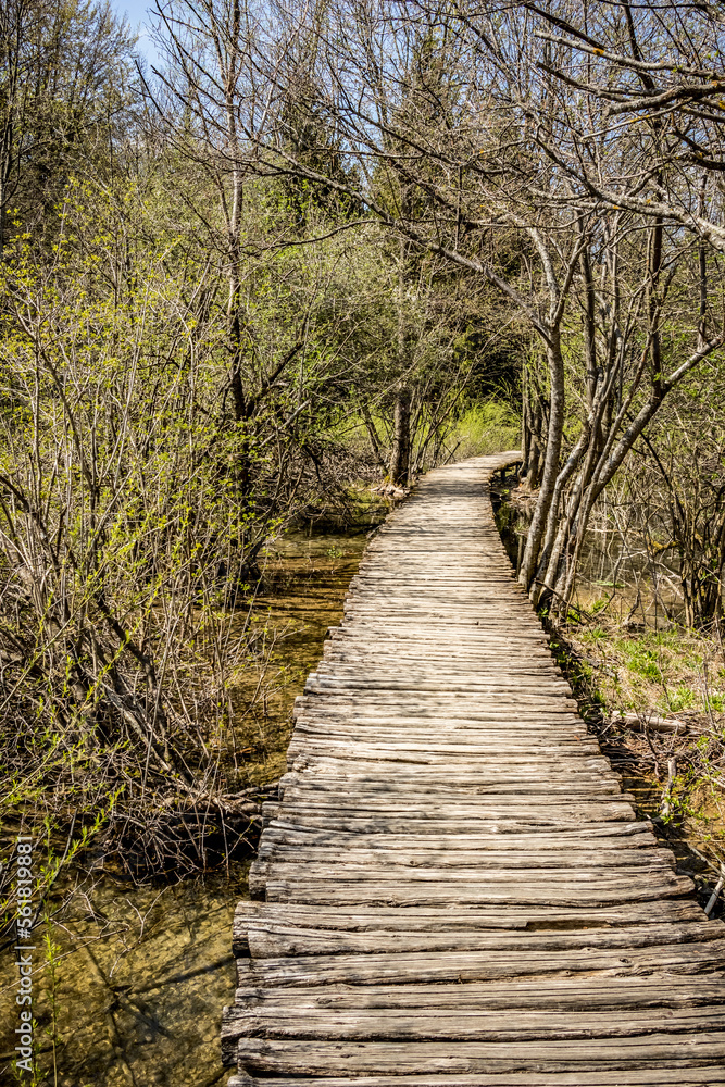Scenery wooden bridge in the park over water, Plitvice lakes, Croatia, Europe. Beauty in Nature Scenery wooden bridge in the park over water, Plitvice lakes, Croatia, Europe. Beauty in Nature