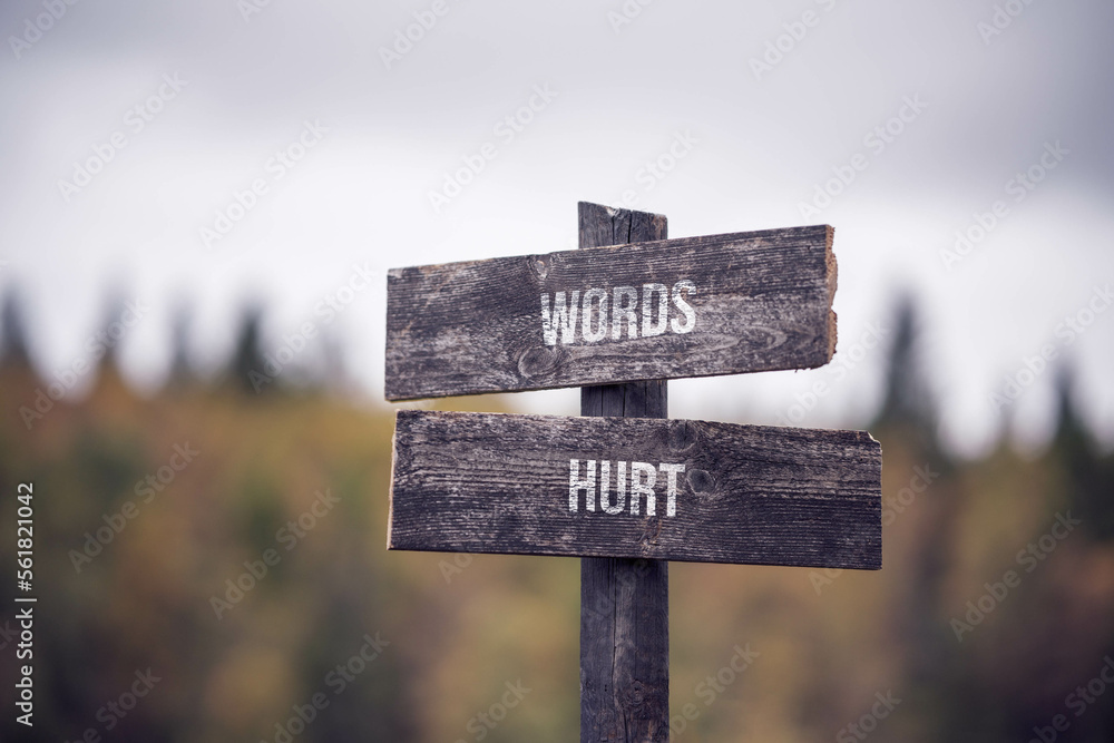 vintage and rustic wooden signpost with the weathered text quote words hurt,, outdoors in nature. blurred out forest fall colors in the background.